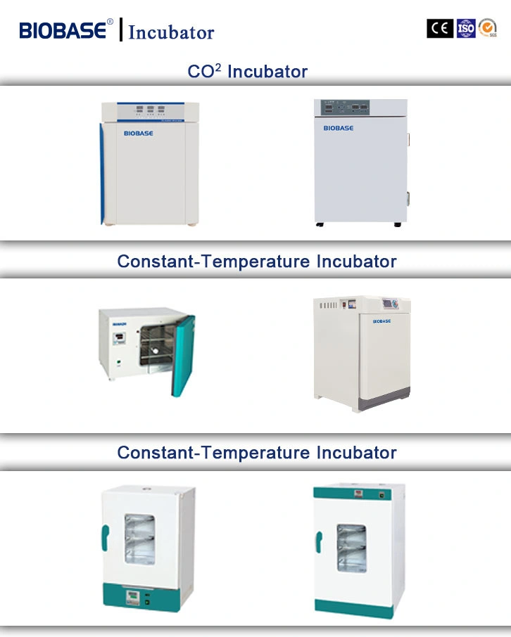 Biobase LCD Screen Single Door Double Door Lighting Incubator