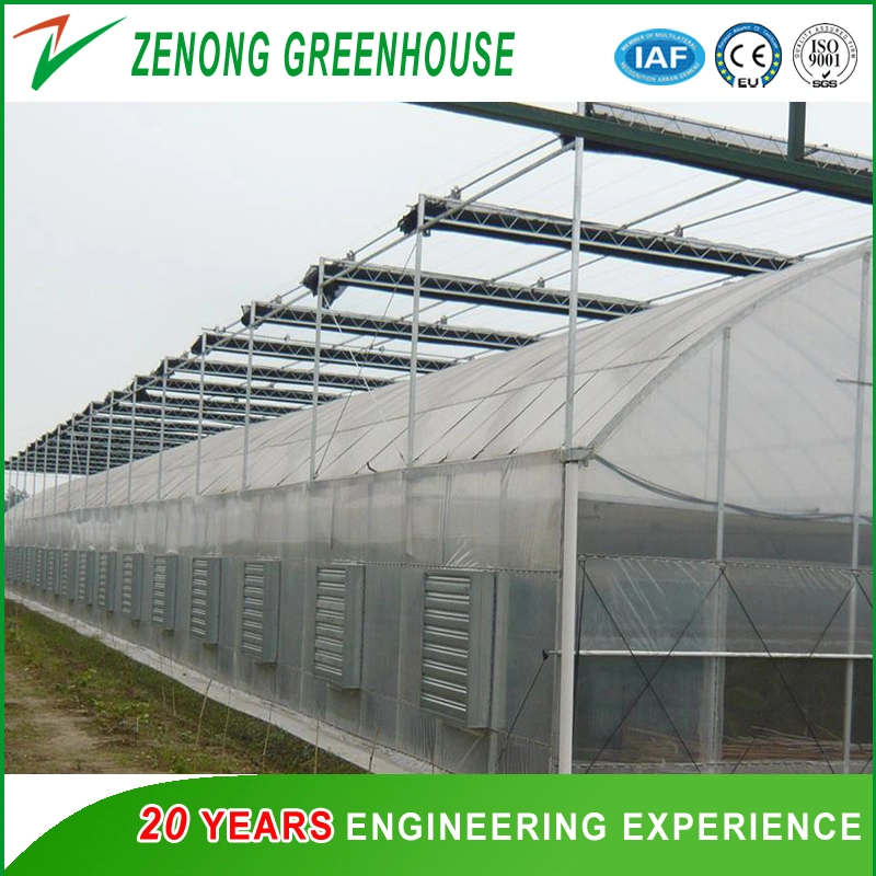 Greenhouse Outside Shading/External Screen/Outside Screen for Light Shading