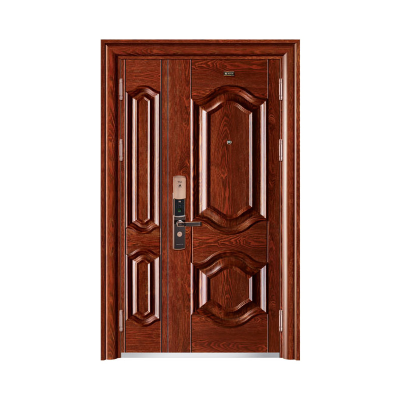 Single Door Metal Almirah Steel Door Design Exterior Door