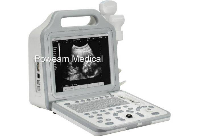 Whyc50p- Digital Laptop Portable Ultrasound Scanner with LCD Display ()