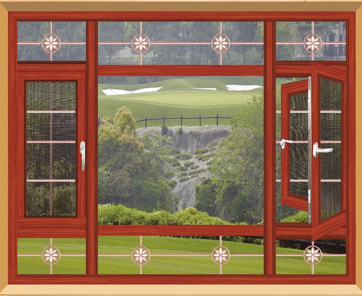 Flyscreen Roller Door Screen Aluminium Casement Window with Double Clear/Tinted Glazing