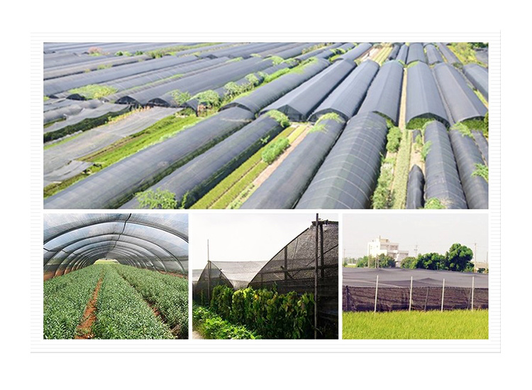 Agricultural Farming Sun Shade Net 1X100m Sun Shade Net