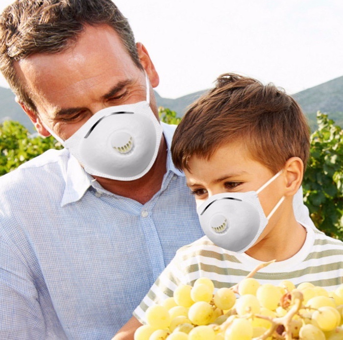 Foldable Mask  En149: 2001 A1: 2009 Approved  Foldable Anti-Pollution Dust Face  Mask with Breathing Valve