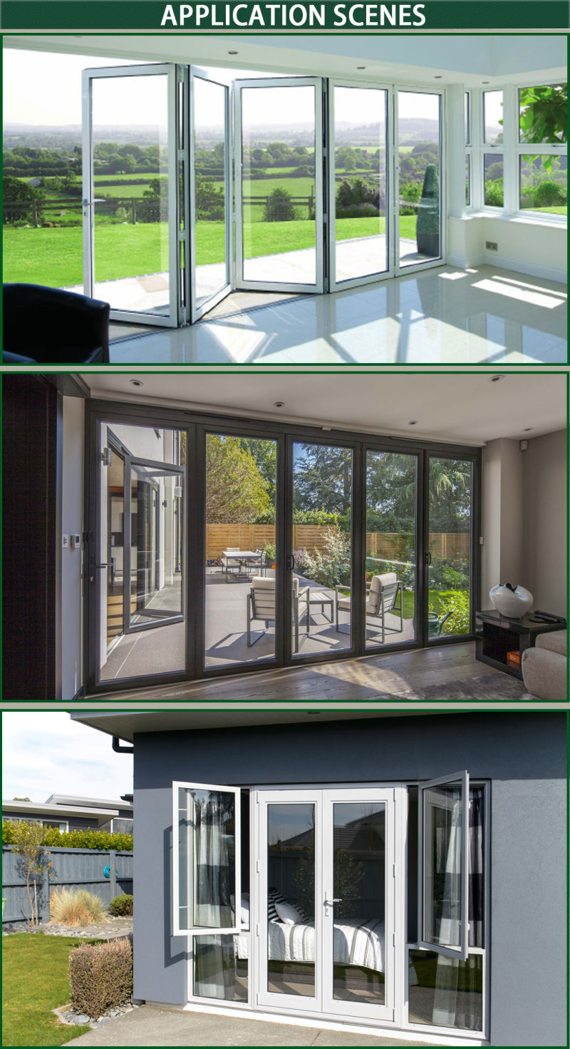 Foshan Manufacturer Anti-Thief Double Glazing Aluminum French Casement Door with Mosquito Net