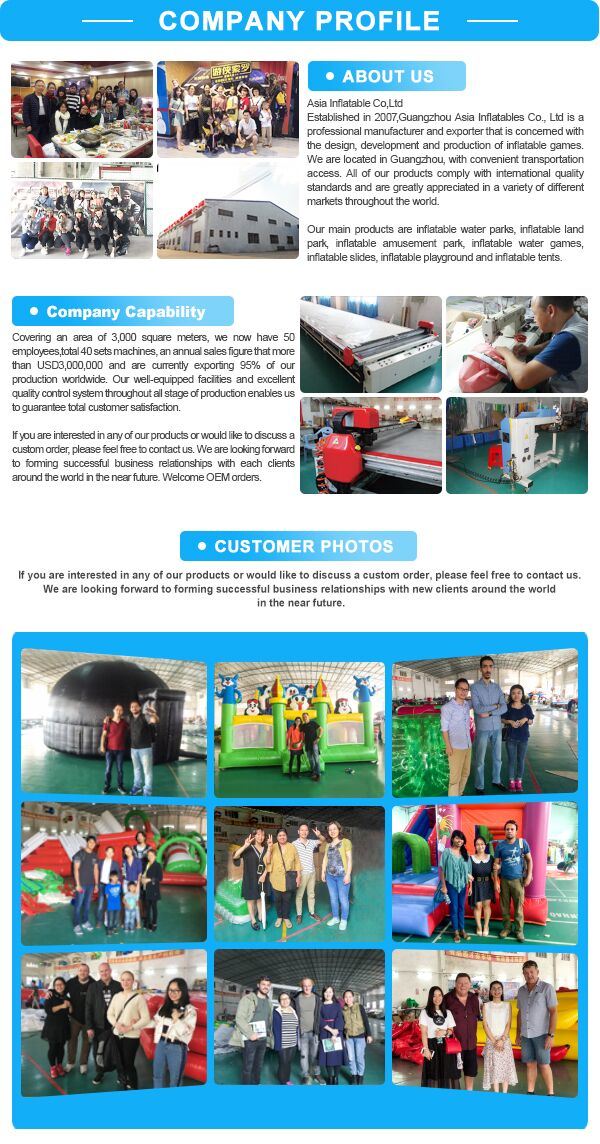 Funny Inflatable Human Bowling Zorb Ball Track for Sale