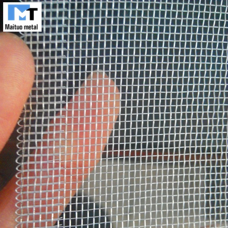 Stainless Steel /Aluminium/Fiberglass/Galvanized Mesh Screen for Door and Window