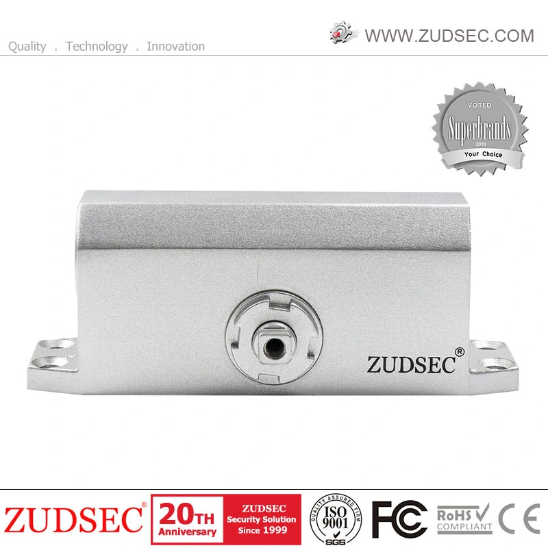 Commercial Door Closer Hydraulic Two Speed Fire Spring Aluminum Door Closer for Wooden Door Closing