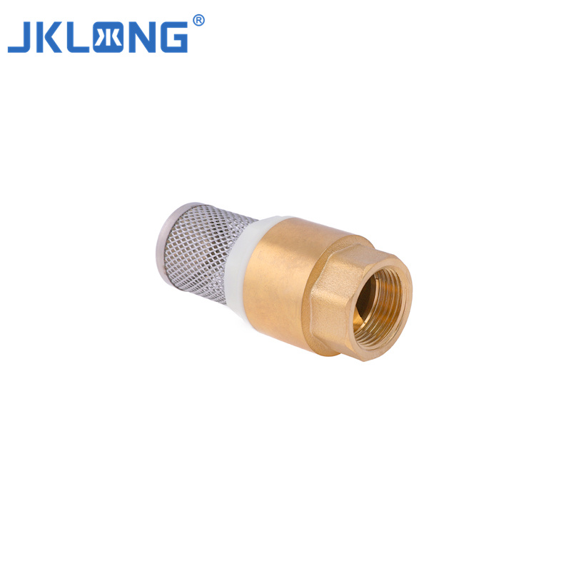 OEM&ODM Chinese Factory Female Thread Brass Water Foot Valve Brass Spring Check Valve