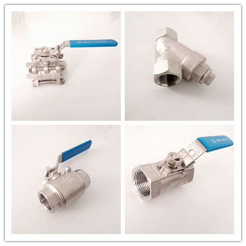 Spring Return Check Valve in Vertical SS304 China Wholesale