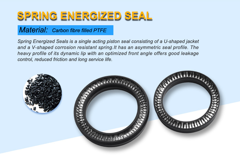PTFE+Glass Spring Energized Seals for Marine Valve Application