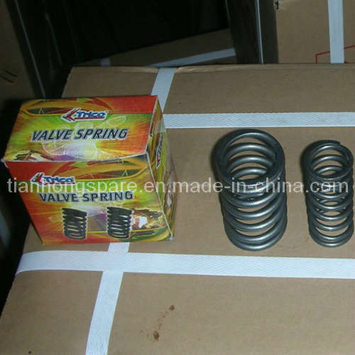 Valve Spring for Diesel Engine