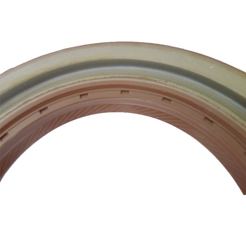 Oil Seal with Spring for Engine (16*24*4)