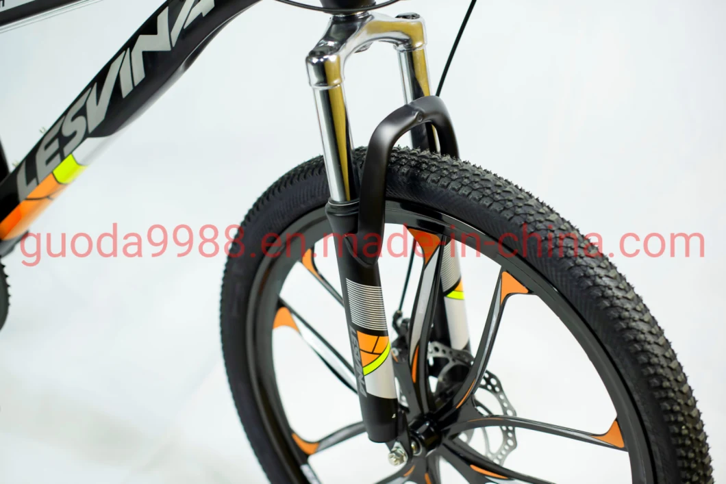 Steel Frame Bike Suspension Bike/Bicycle Mountain Bike Bicicleta