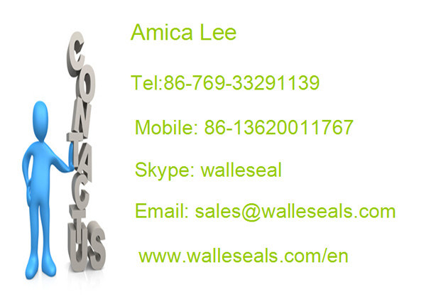 Mechanical Equipment Valve Pump Spring Seal