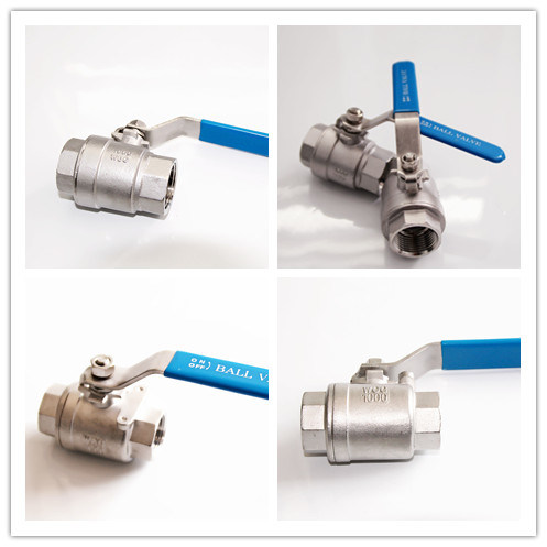 Spring Return Check Valve in Vertical SS304 China Wholesale