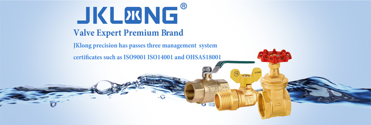 OEM&ODM Chinese Factory Female Thread Brass Water Foot Valve Brass Spring Check Valve