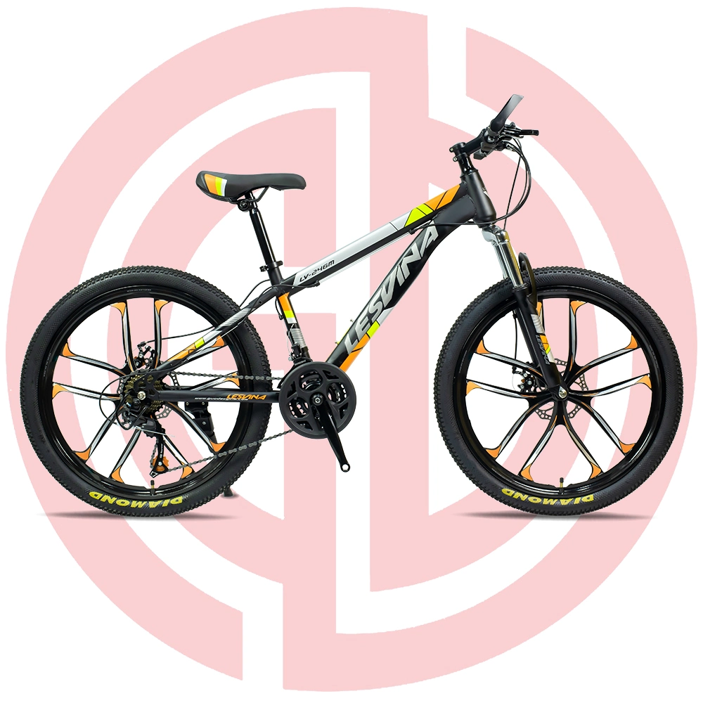 Steel Frame Bike Suspension Bike/Bicycle Mountain Bike Bicicleta