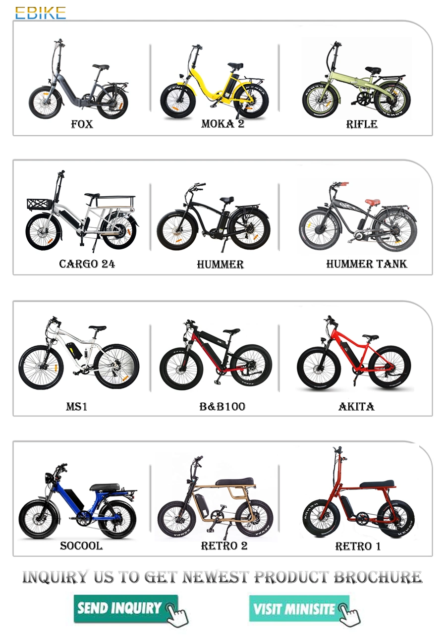 2020 Popular Mountain Electric Bike Wholesale 26 Inch Fat Tire Front Fork Suspension Electric Mountain Bike