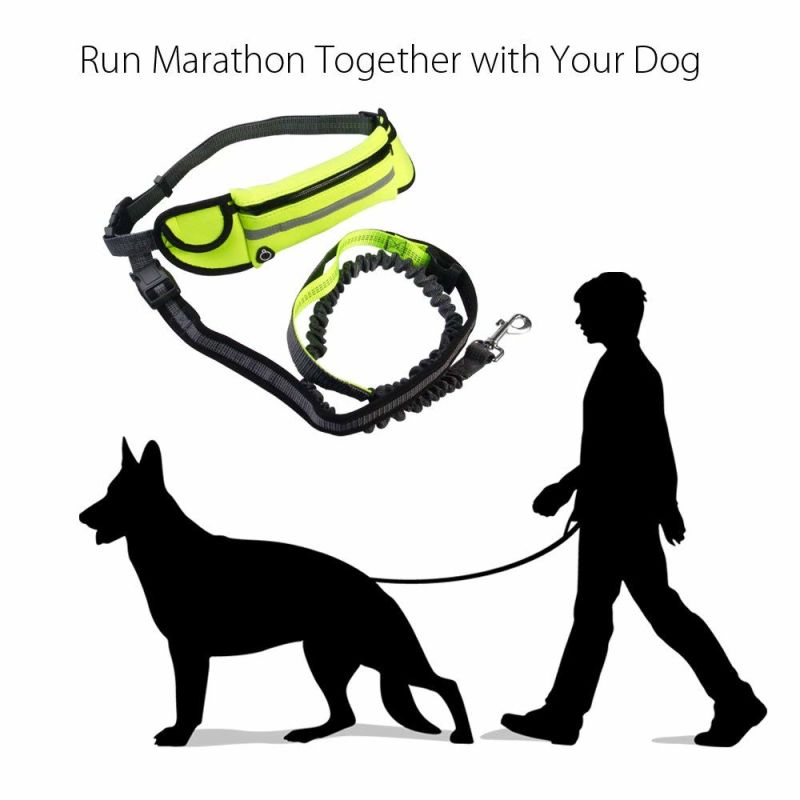 Heavy Duty Reflective Stretch Shock Absorbing Dog Bungee Leash