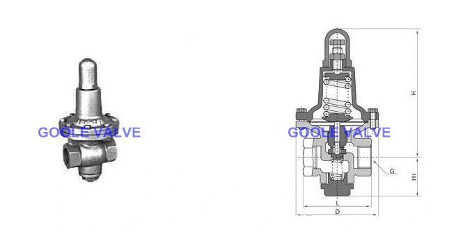 Spring Pressure Reducing Valve (GAYT11H)