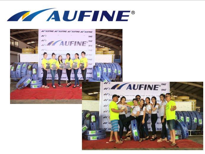 Aufine 10.00r20 Top Quality Truck Tyre for Heavy Loadcapacity