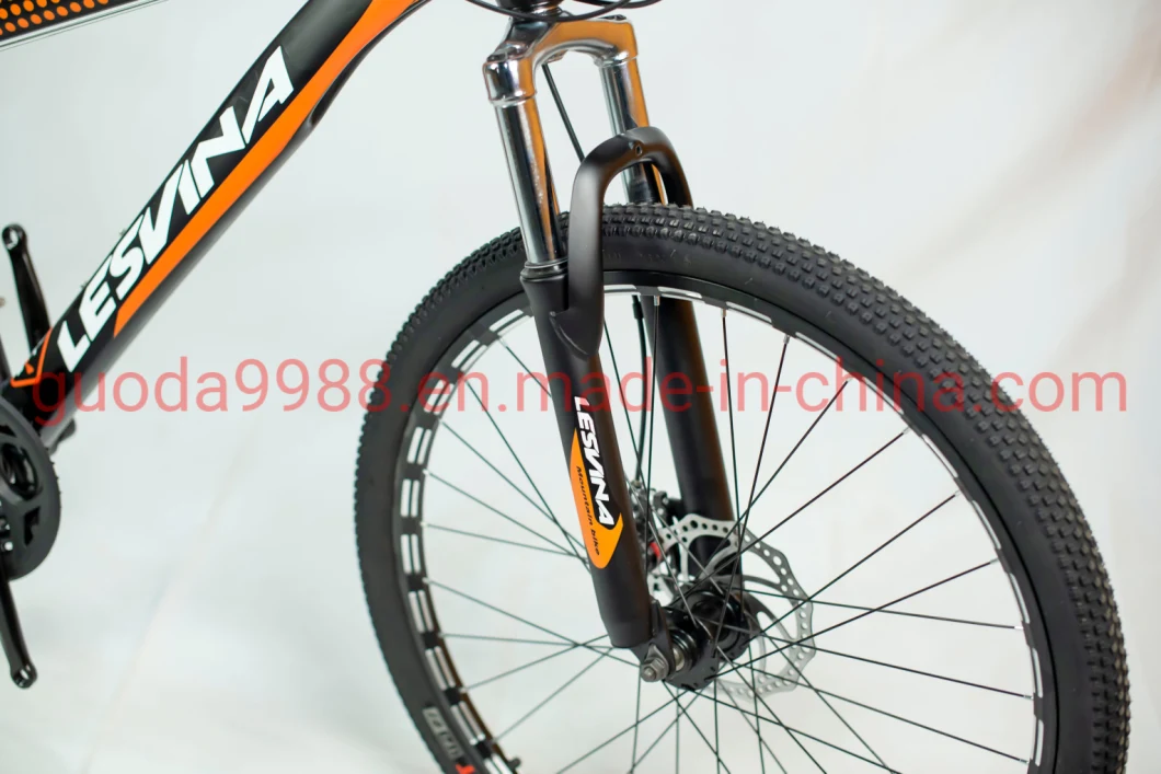 Steel Frame China Bike Mountain Suspension Bike Cycle Mountain Bike