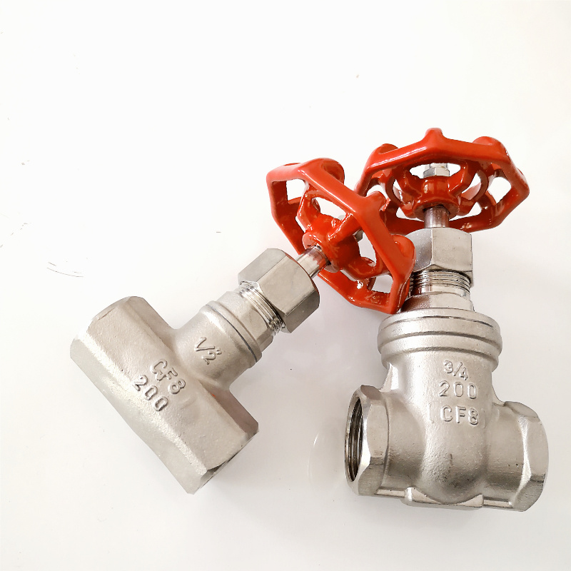 Spring Return Check Valve in Vertical SS304 China Wholesale