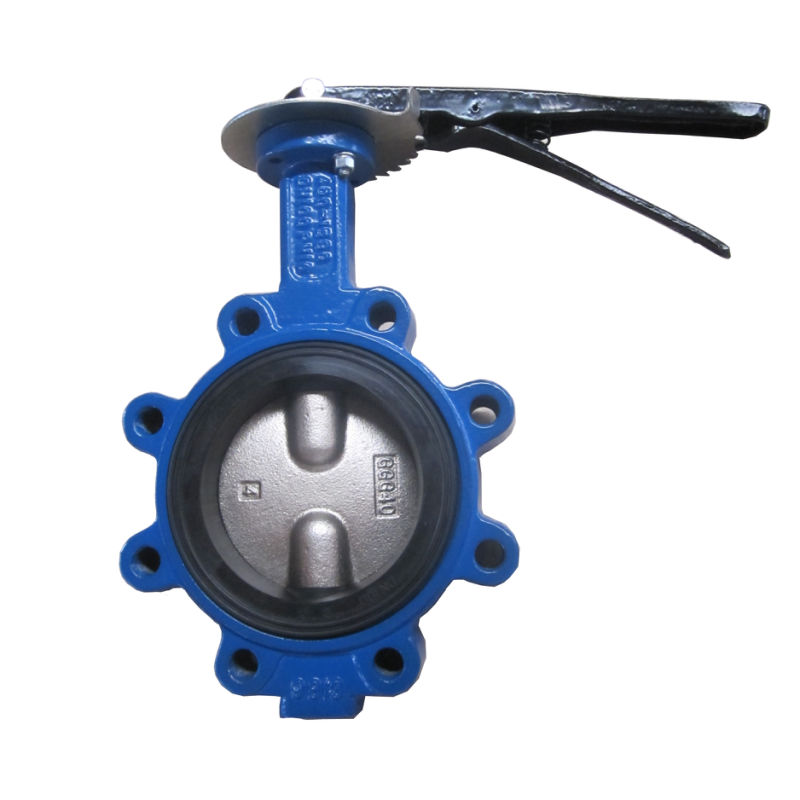 Soft Seat Double Axis Butterfly Valve in Lug Type