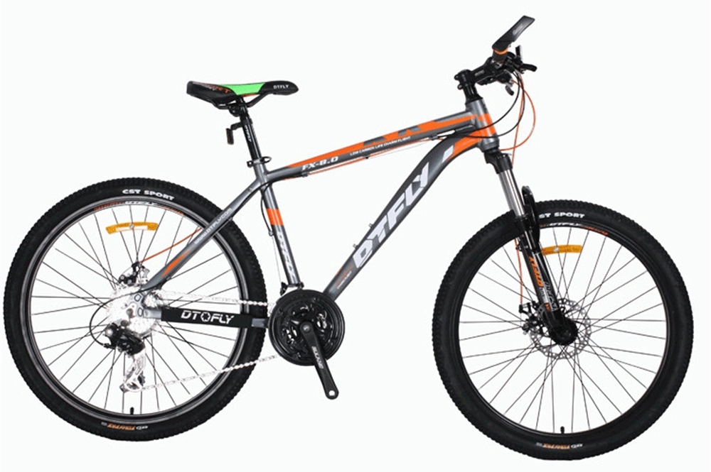 Carbon Steel Mountain Bike/Carbonal 29er Mountain Bike/Cheap Adult Mountain Bike