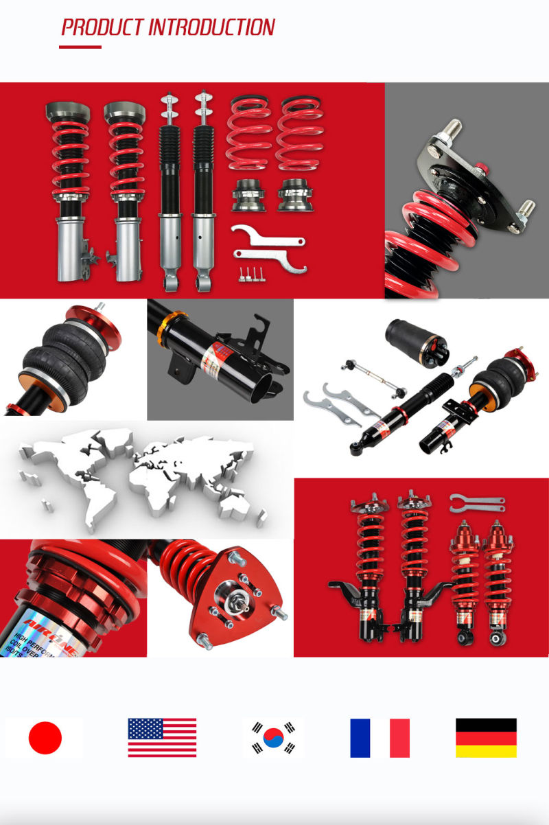 Car Accessories Coilover Suspension Adjustable Shocks for Wish (ZNE10G)