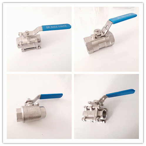 Spring Return Check Valve in Vertical SS304 China Wholesale