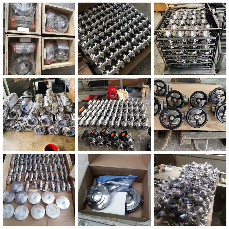 Sanitary Stainless Clamp Welded 3A DIN SMS Spring Check Valves