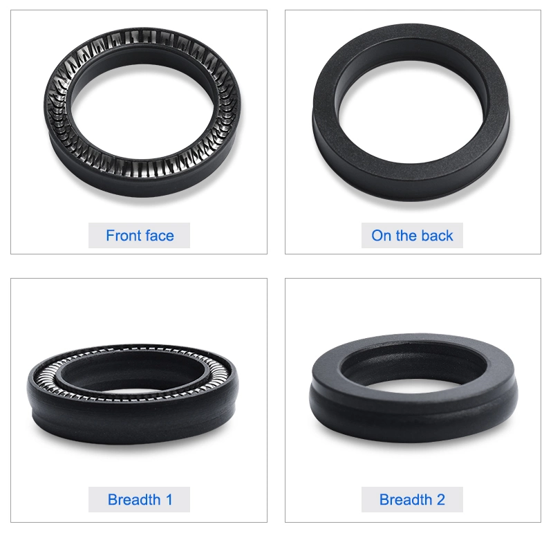 Spring Energized Seals for Industrial From China