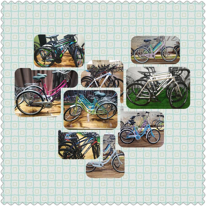 Fashion Full Suspension MTB Bike Mountain Bike Mountain Bicycle