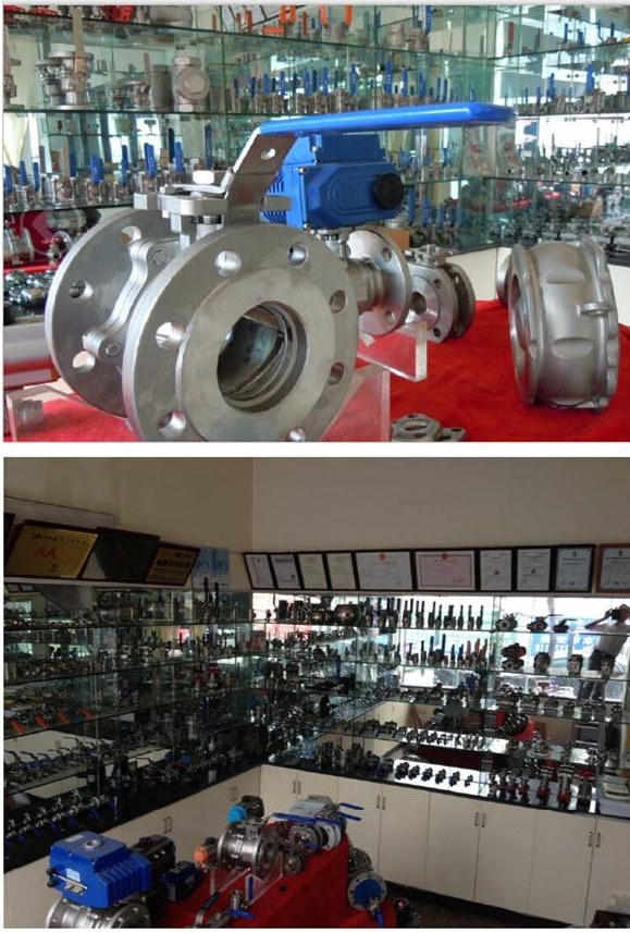 Stainless Steel Spring Loaded Check Valve / Non Return Valve / Swing Check Valve Pn16