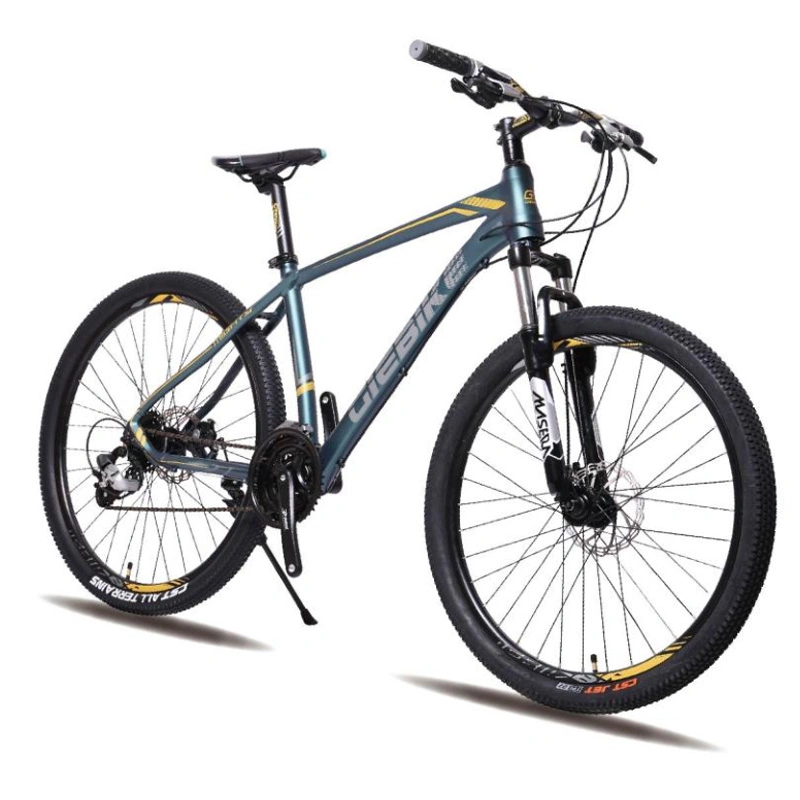 Hot Sale Bicycle Mountain Bike 29/29er Full Suspension Mountain Bike