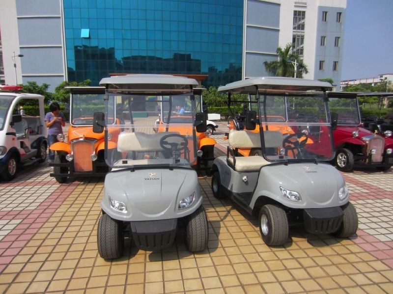 Lovely Electric Car Golf Cart Soft Seat Electric Vehicle