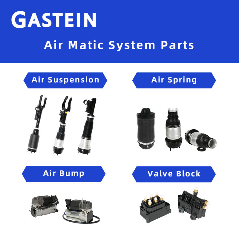 Gastein Truck Spare Parts Rear Spring Shock Absorber