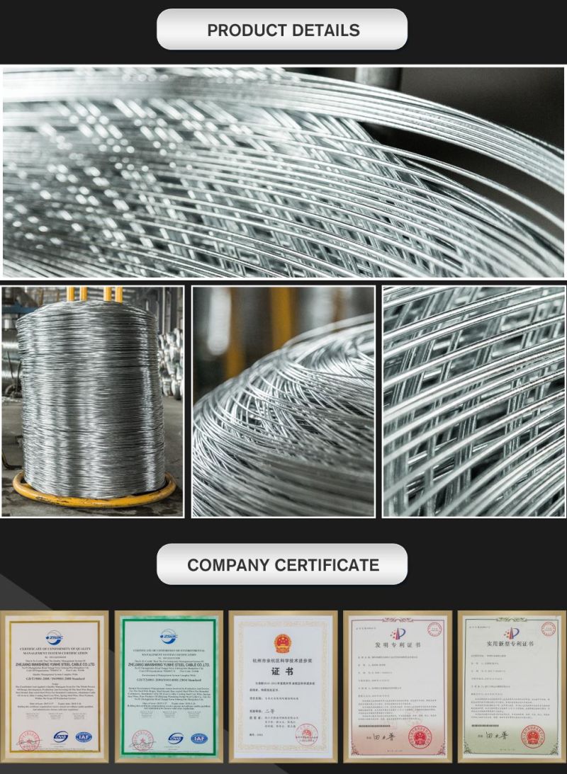 High Carbon Spring Steel Wire for Vacuum Tube