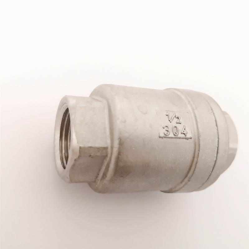 Spring Return Check Valve in Vertical SS304 China Wholesale