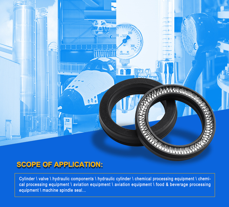 PTFE+Glass Spring Energized Seals for Valve Application