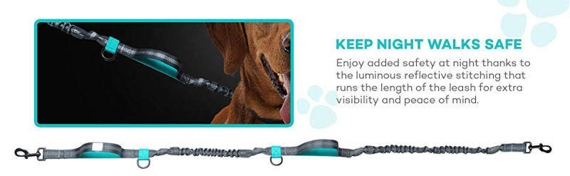 Hands Free Dog Leash, Dog Walking Training Belt Shock Absorbing Bungee Leash