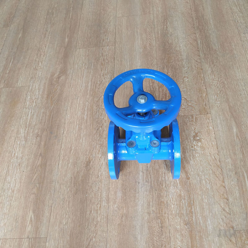 Factory Price Pn16 Dn80 Cast Iron Soft Sealing Gate Valve Hand Wheel