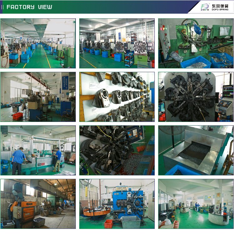 Hot Sale Extension Compression Torsion Coiled Springs
