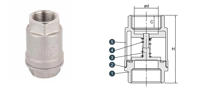 Hongwang Stainless Steel Industrial/Sanitary 2PC Full Port Vertical Spring Check Valve (HW-CV 1001)