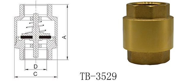 Brass Spring Check Valve with Stainless Steel