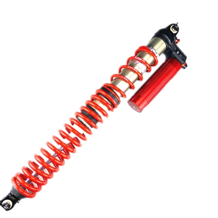 Desert Racing Coilover Lifting Suspension Shock Absorber with Eibach Springs