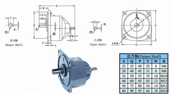 Gear Speed Reducer with Extension Worm Shaft