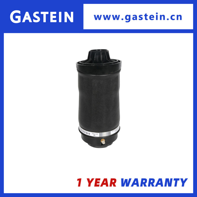 Gastein Top Quality Air Spring 2513200425 Rear Air Suspensions