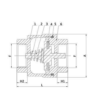 Stainless Steel Brass Spring Check Valve (VG12.90081)